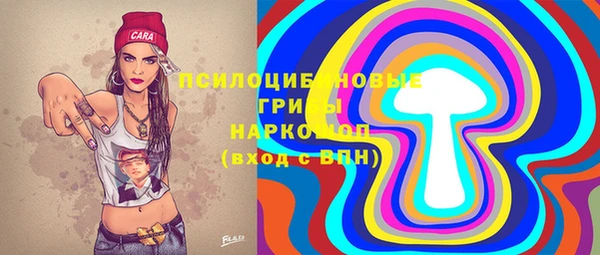 тгк Алзамай