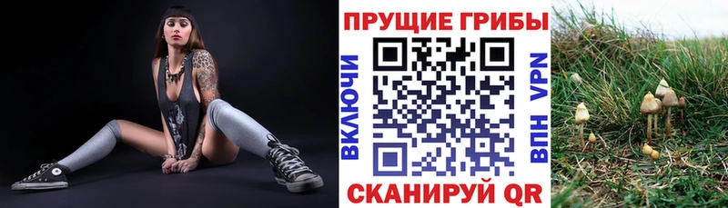 Галлюциногенные грибы MAGIC MUSHROOMS  Чёрмоз 